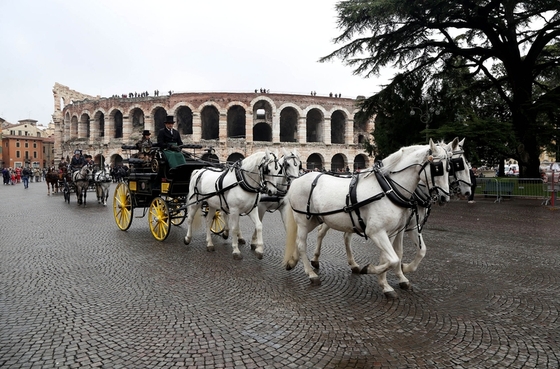 Крупнейшая конная выставка пройдет в Италии