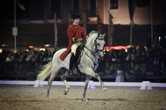 Национальная конная выставка начинается в Португалии