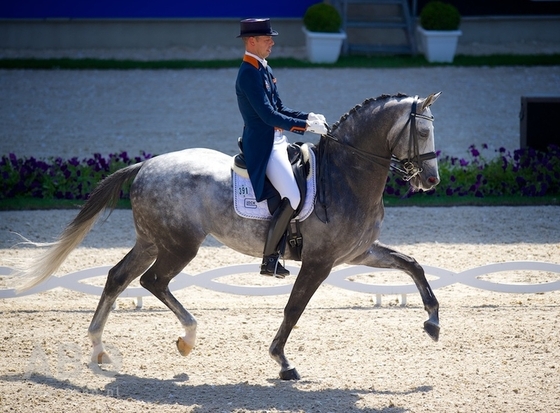 Голландский всадник дебютировал в Большом призе с новой лошадью