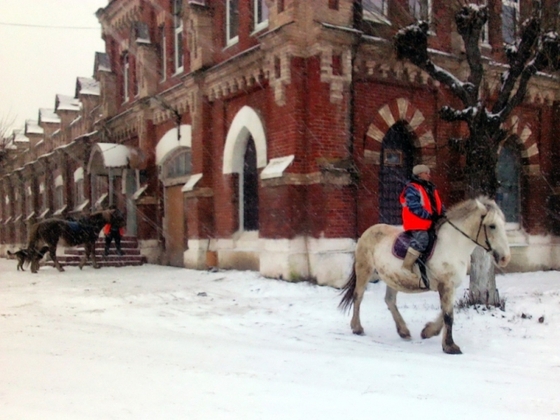 МЧС привлекает для профилактики зимних пожаров конные патрули