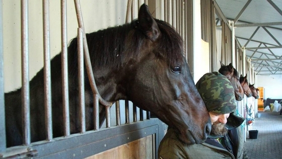 Спасённую с бойни лошадь Рамзан Кадыров назвал Пензой