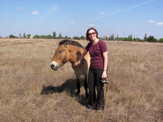 Блог…для лошадей Пржевальского!