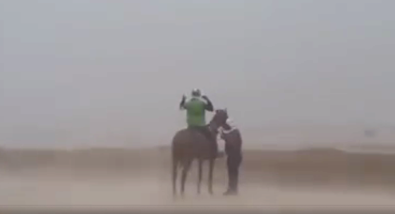 Наводнение в ОАЭ: конный пробег под шквальным ветром!