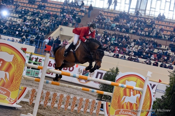 Зимний Кубок Федерации конного спорта города Москвы по конкуру