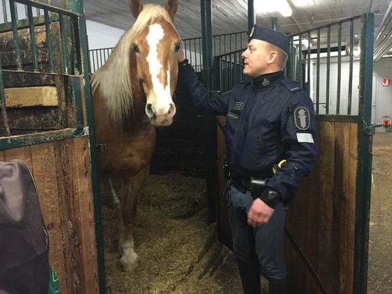Иван Грозный покидает службу в финской конной полиции