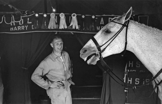 В прокат вышел новый фильм о конном спорте и любви к лошадям "Гарри и Снеговик".