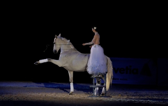 В Севилье проходит выставка испанских лошадей “SICAB”.