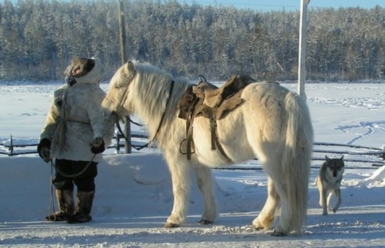 В Якутии празднуют День коневода-табунщика