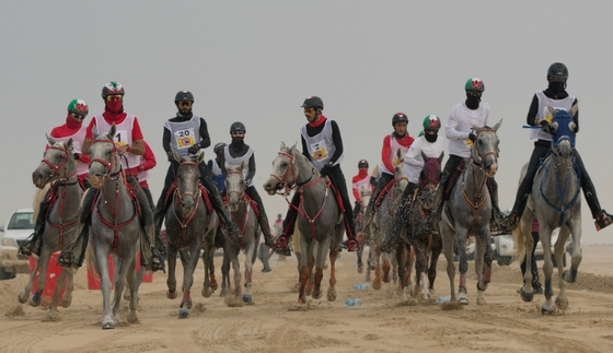 История с лошадью, травмированной на пробегах в Бахрейне, получила развязку.
