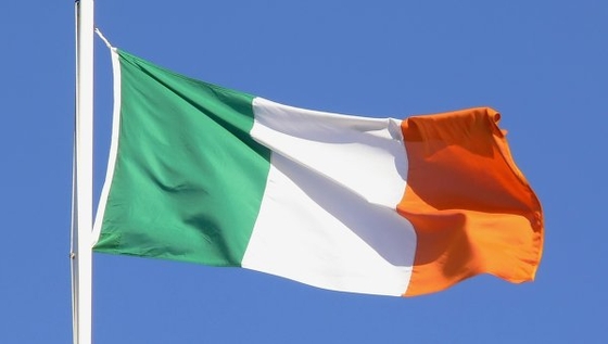 Золото Чемпионата Европы по конкуру уезжает в Ирландию