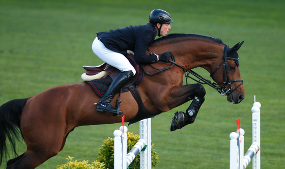 Чакко Блю возглавил рейтинг Всемирной Федерации разведения спортивных лошадей. 