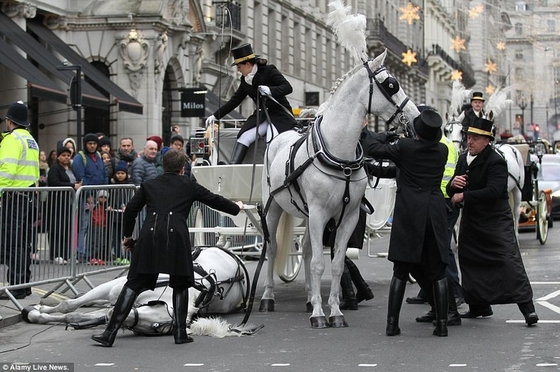 Парад в Лондоне прервали из-за лошади