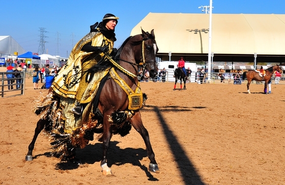 Шоу Арабских лошадей в Скоттсдейле