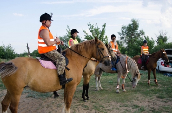 В Волгоградской области появится конно-поисковый отряд