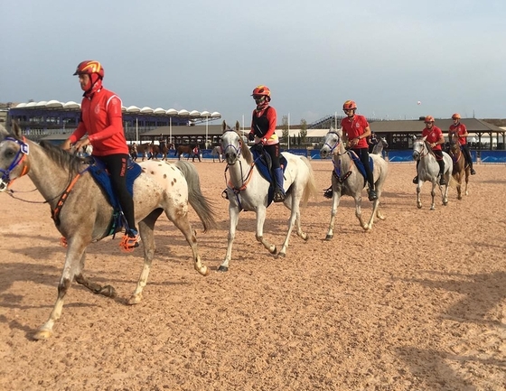 Испанская федерация конного спорта не согласна с решением FEI об отмене чемпионата по пробегам