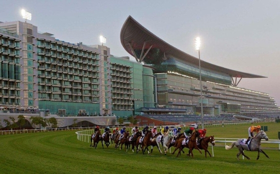Российская лошадь пришла третьей в Дубае