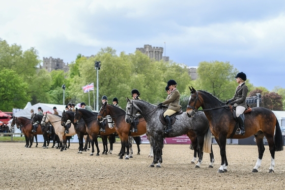 В Великобритании проходит Королевское Виндзорское конное шоу
