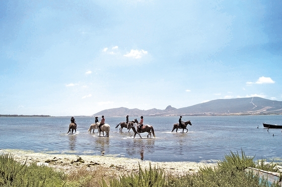 Море и лошади в Horse Country Resort на Сардинии