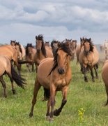 Cразу две хорошие новости из Башкирии