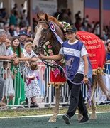 Рэд Хэд под седлом Хамзата Улубаева выиграл Дерби в КБР