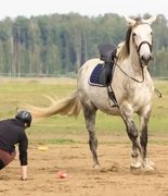 КСК заплатит компенсацию за падение с лошади