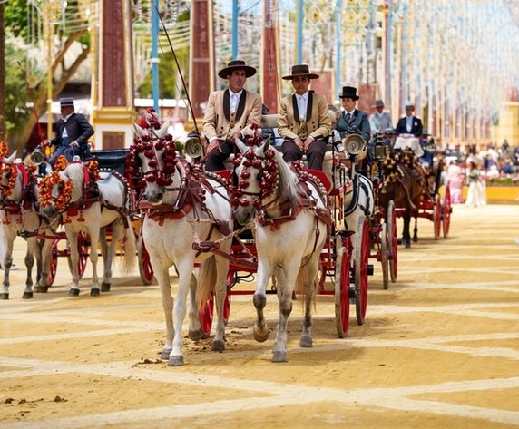 Feria–феерия!