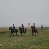 В КБР подвели итоги конноспортивных соревнований
