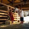 «Слово пацана» верхом: Леон Кемстач в клипе с лошадьми