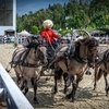 Вятский дебют в чемпионате «Крылатое сердце России»