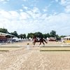 Чемпионат «на вырост»