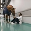 От Сента до Луны: проводник Пейо