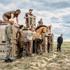 Восемь лошадей Пржевальского из Европы обрели дом в Казахстане