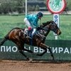 Новый ипподром в Ростове появится на Левом берегу Дона