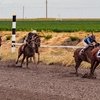Дагестанский вестерн или скачки в Ногайской степи