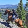 70 лет Кубку Тевиса по пробегам