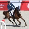 Кубок Мэра Москвы по конкуру: главные итоги перед решающим Гран-при
