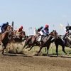 Итоги скачек на Кубок Губернатора Краснодарского края