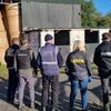 Лошадям меняли «личность» и отправляли на бойни