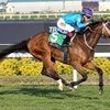 Брайтуотер принесла победу Конному Клубу Кунбатар в США