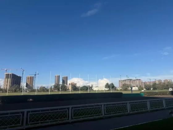 Судьба Ростовского ипподрома решится завтра