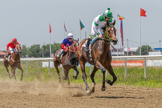 Само совершенство