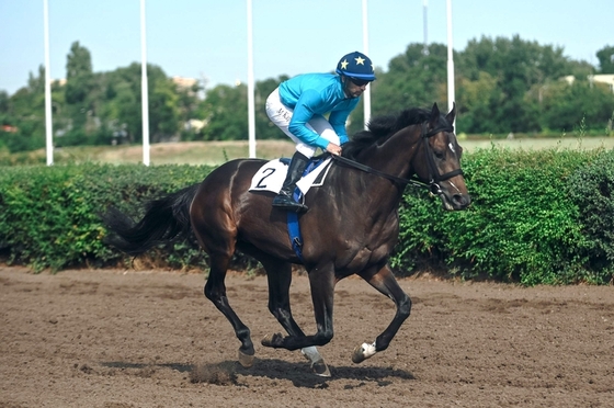 Ростовский ипподром объявил о старте скакового сезона-2026