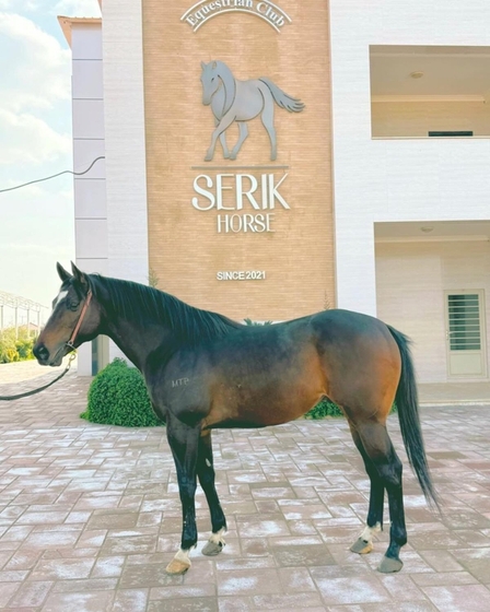 Конфискация по-ирански