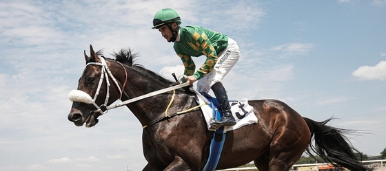 Открытие скакового сезона на Краснодарском ипподроме