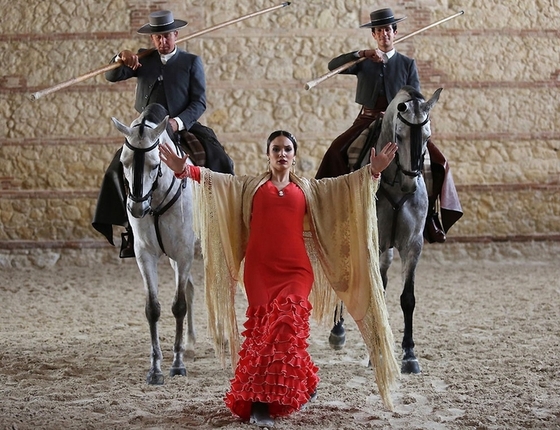 Кордова: родина фламенко и андалузских лошадей