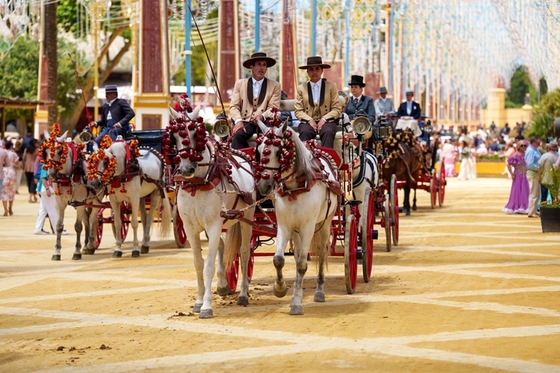 Feria–феерия!