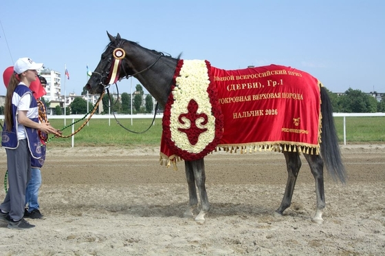 Большой скаковой праздник в Нальчике