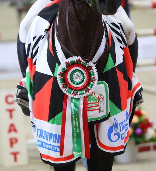 В Казани определили победителей IV Приза Раиса Татарстана по конкуру