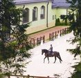 Zetta Sport: искусство быть идеальным
