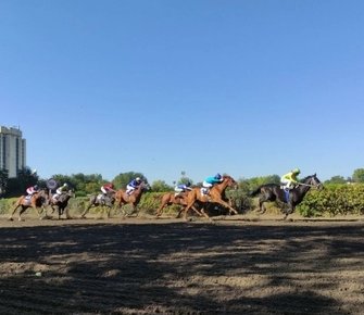 Судьба Ростовского ипподрома решится завтра